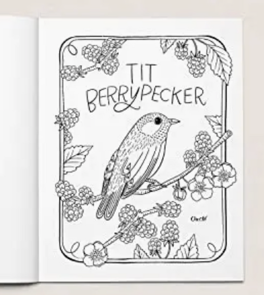 30 Dirty Birdies: An Adult Coloring Book