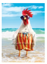 Rooster Wears Swimsuit Birthday