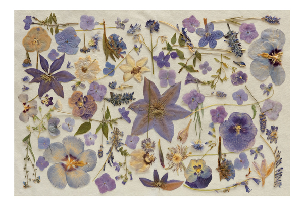 Periwinkle Pressed Petals Placemat - Pad of 18 sheets