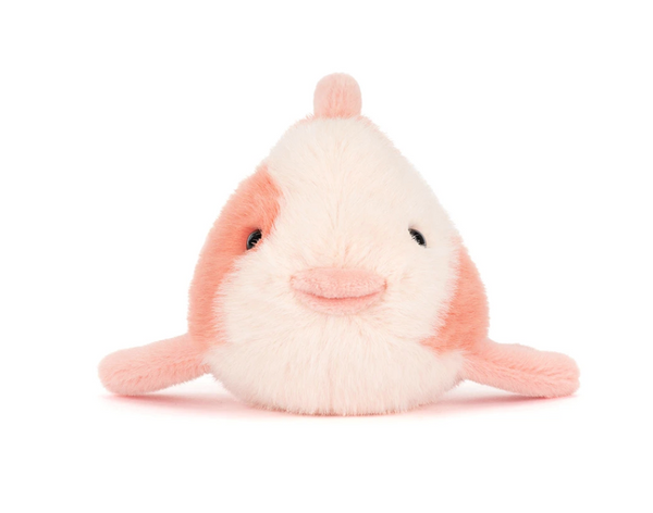 Fancy Carp