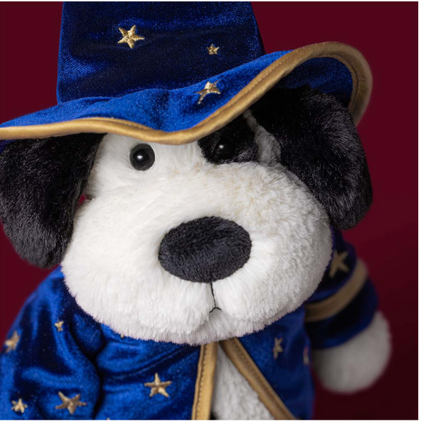 Rufferty Puppy Wizard Outfit