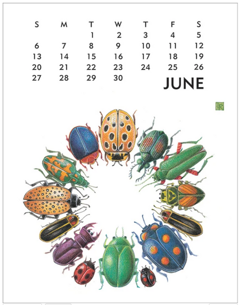 Linnea Calendar 2027