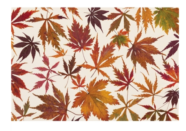 Japanese Maple Placemat - Pad of 20 Sheets