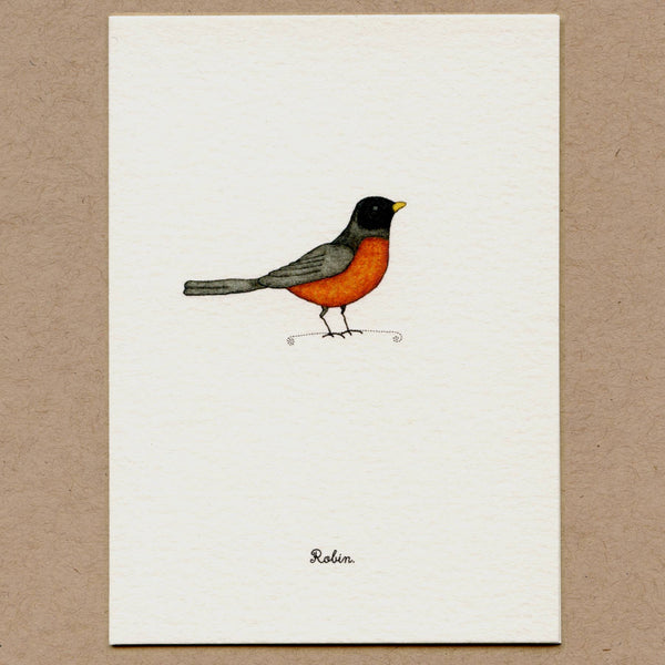 Birds Greeting Cards Set.