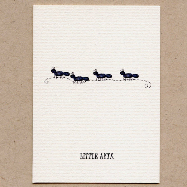 A Box Of Tiny (Cute) Bug Greeting Cards.