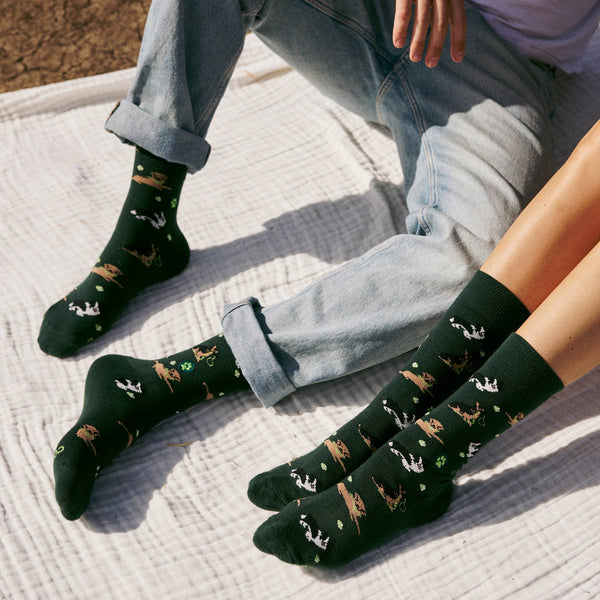 Socks that Save Dogs | Go Fetch - Gifts for Dog People: Medium