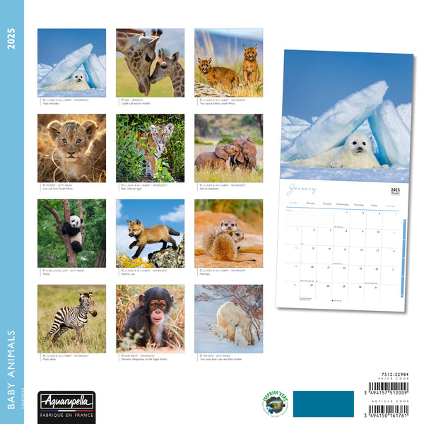 Baby Animals Calendars 2025