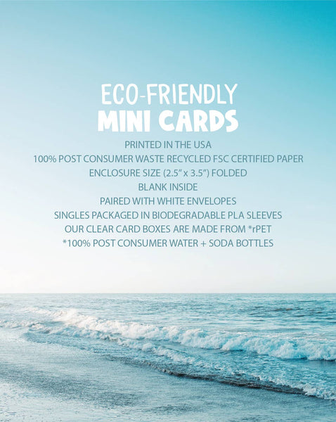 Holiday Seagull Folded Enclosure - Box of 8