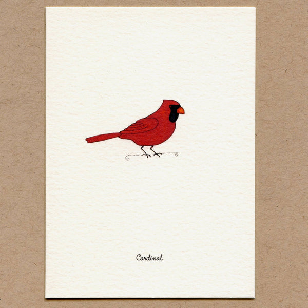 Birds Greeting Cards Set.