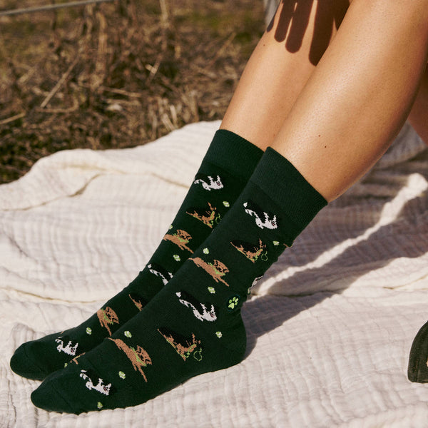 Socks that Save Dogs | Go Fetch - Gifts for Dog People: Medium