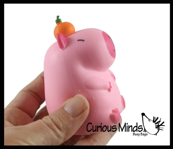 Capybara Stretchy Sand Filled - Lover Sensory Fidget Toy