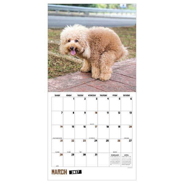 2027 Pooping Dogs Wall Calendar