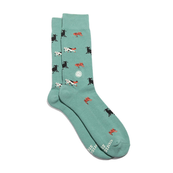 Socks that Save Cats (Teal Cats): Small