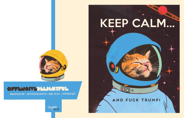 KEEP CALM SPACE CAT political greeting card