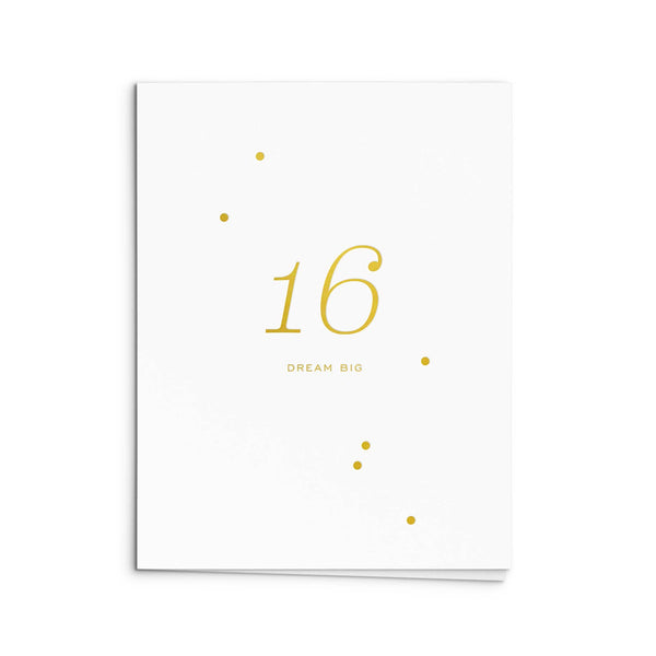 16 Milestone Birthday Greeting Card