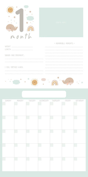 Baby's First Year Undated Keepsake Wall Calendar