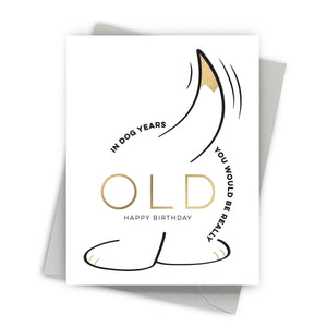Dog Years – Humorous Birthday Greeting Cards