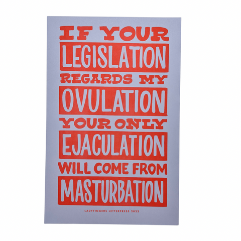 Legislation Protest Poster