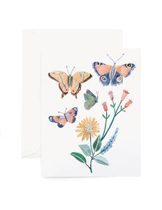 Wildflower Butterfly Box Set