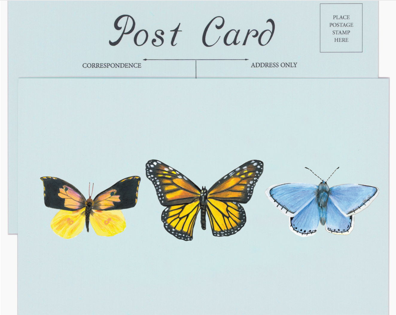 Butterfly Post Card